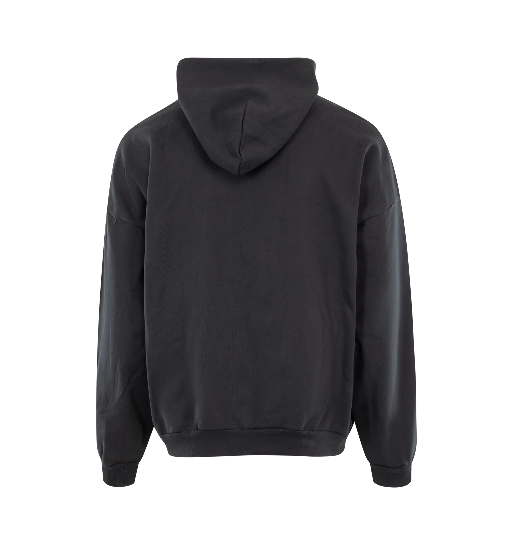 AGAICNELAB HOODIE (MENS)